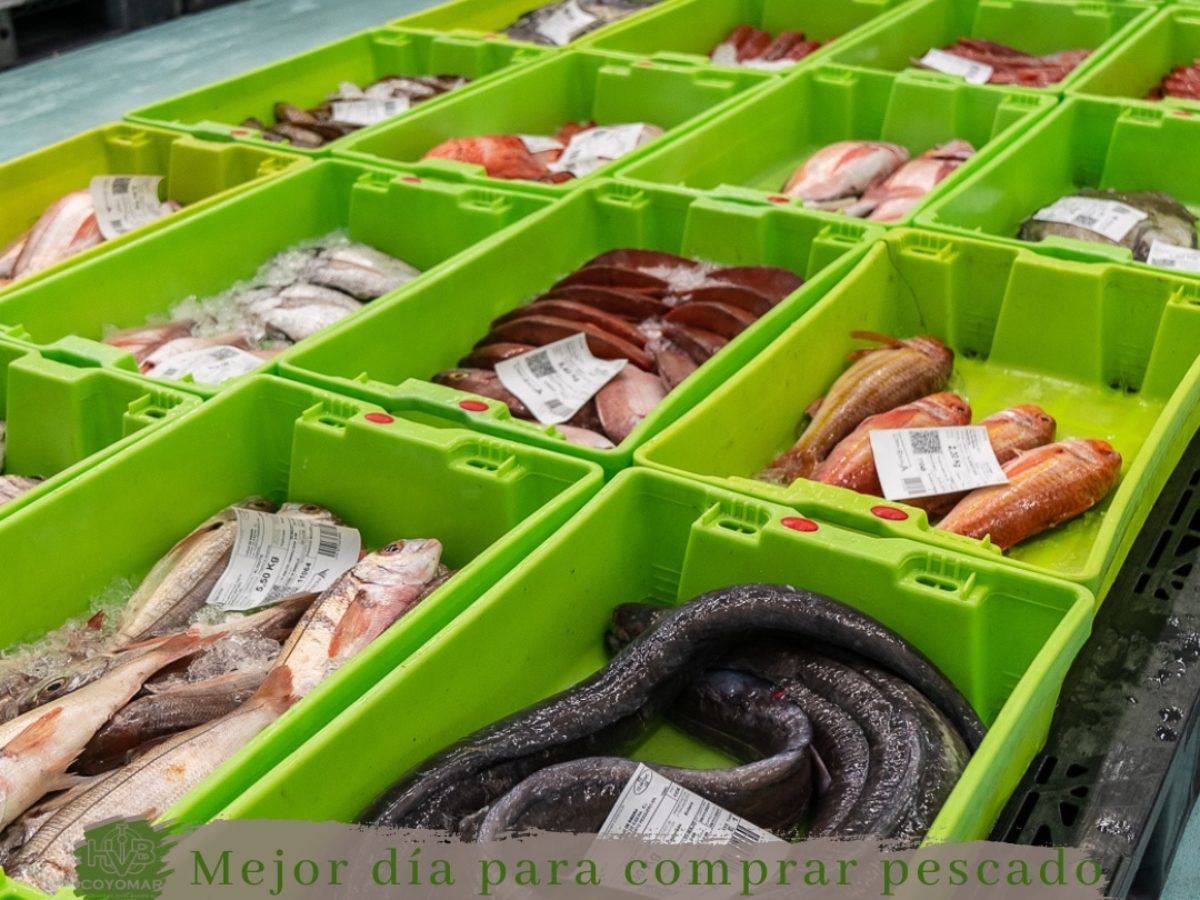 que dia de la semana se puede comprar el pescado mas fresco
